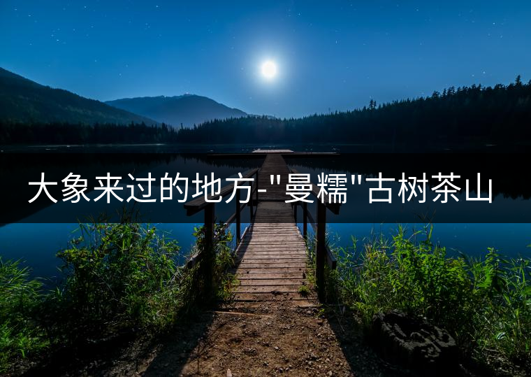 大象來(lái)過(guò)的地方-