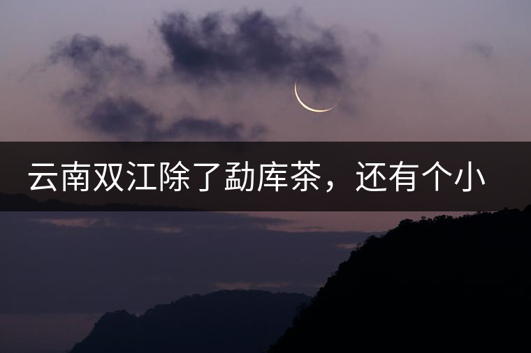 云南雙江除了勐庫(kù)茶，還有個(gè)小勐峨您知道嗎？