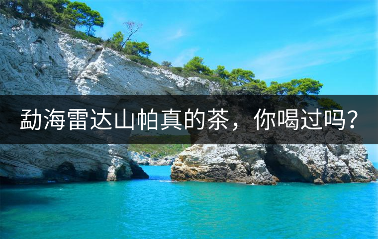 勐海雷達山帕真的茶，你喝過嗎？