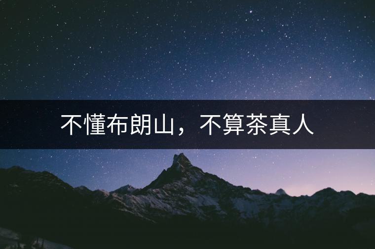 不懂布朗山，不算茶真人