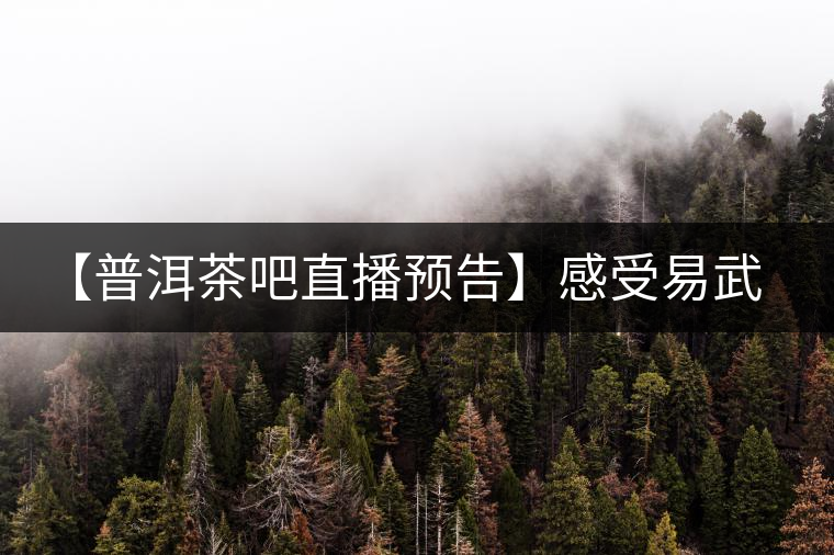 【普洱茶吧直播預告】感受易武刮風寨普洱茶的轉(zhuǎn)化(第十四期) 【普洱茶吧直播預告】感受易武刮風寨普洱茶的轉(zhuǎn)化(第十四期)
