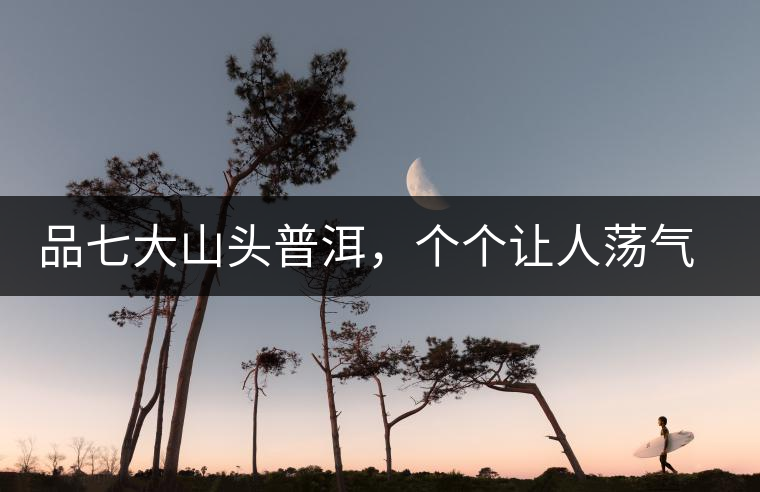 品七大山頭普洱，個個讓人蕩氣回腸