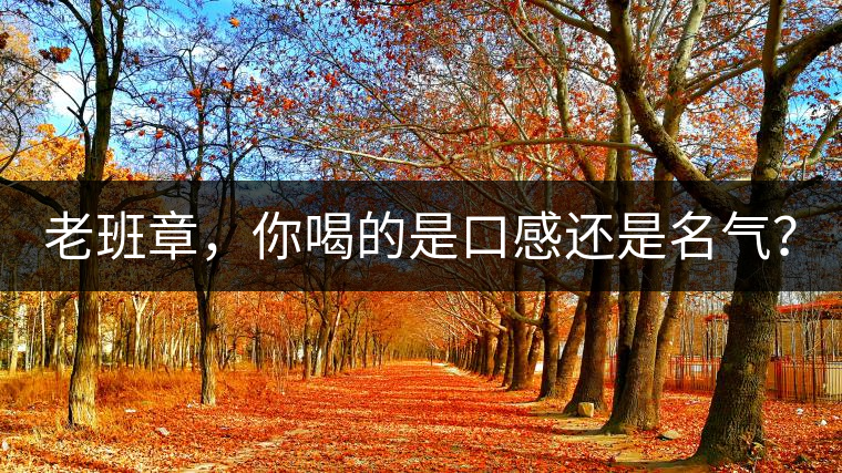 老班章，你喝的是口感還是名氣？