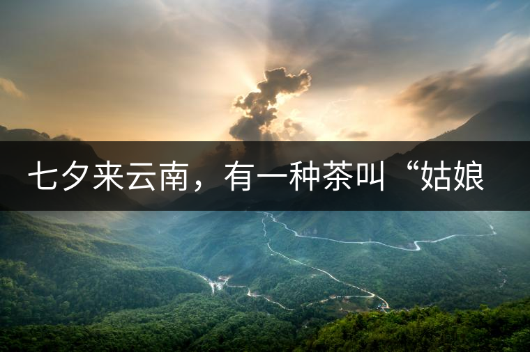 七夕來(lái)云南，有一種茶叫“姑娘茶”，也許你就能遇上