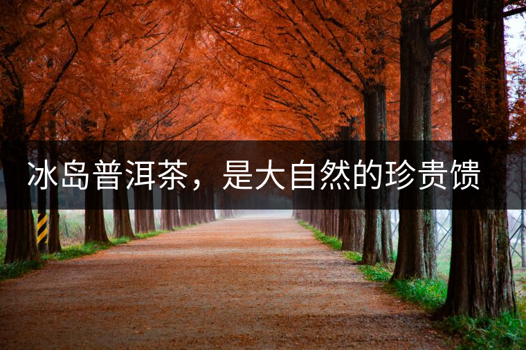 冰島普洱茶，是大自然的珍貴饋贈(zèng)