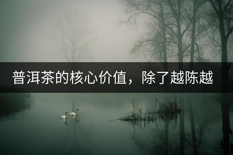 普洱茶的核心價值，除了越陳越香，還有天然生態(tài)