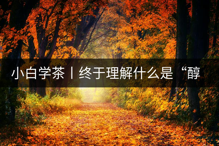 小白學(xué)茶丨終于理解什么是“醇厚、耐泡，回甘”了