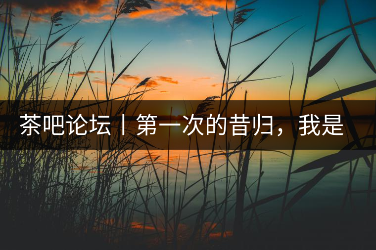 茶吧論壇丨第一次的昔歸，我是這樣喝到的