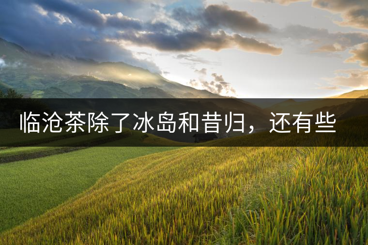 臨滄茶除了冰島和昔歸，還有些什么？
