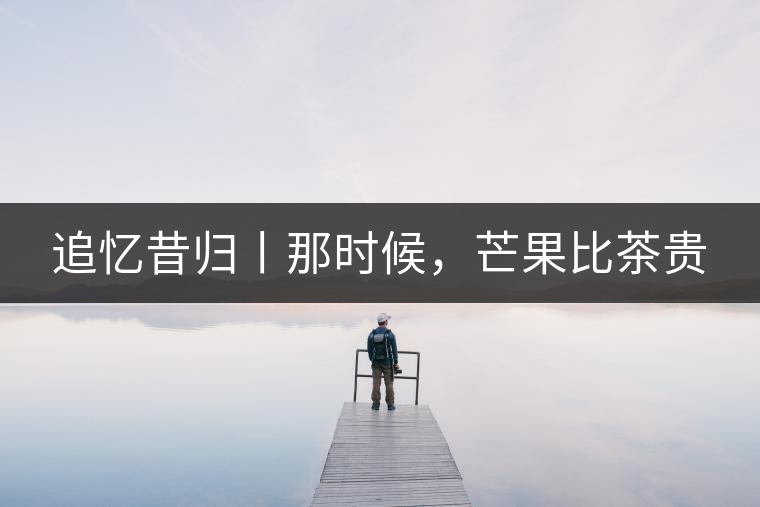 追憶昔歸丨那時(shí)候，芒果比茶貴
