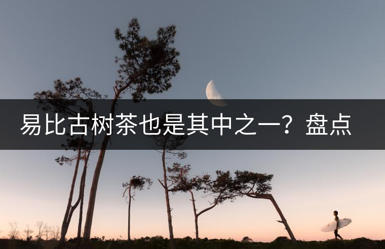 易比古樹茶也是其中之一？盤點當下易武最火的十大古樹茶！