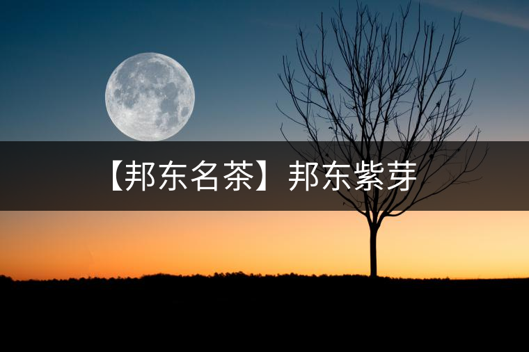 【邦東名茶】邦東紫芽