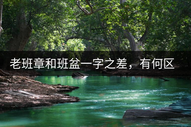 老班章和班盆一字之差，有何區(qū)別