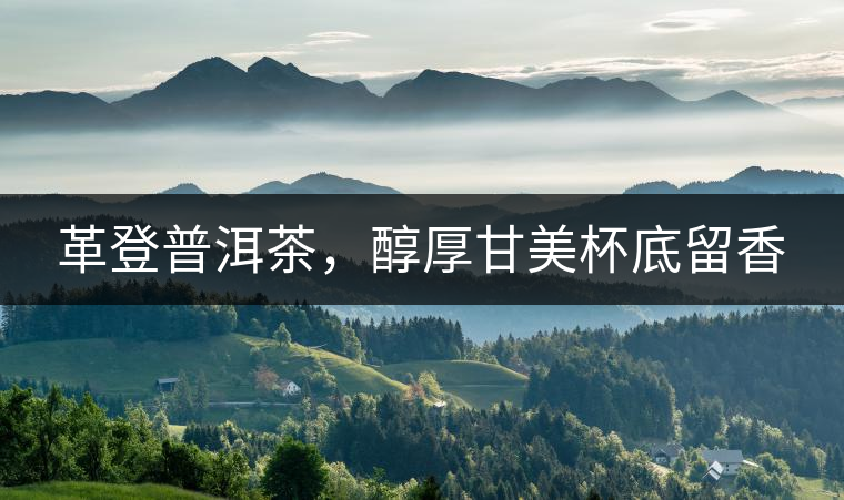 革登普洱茶，醇厚甘美杯底留香
