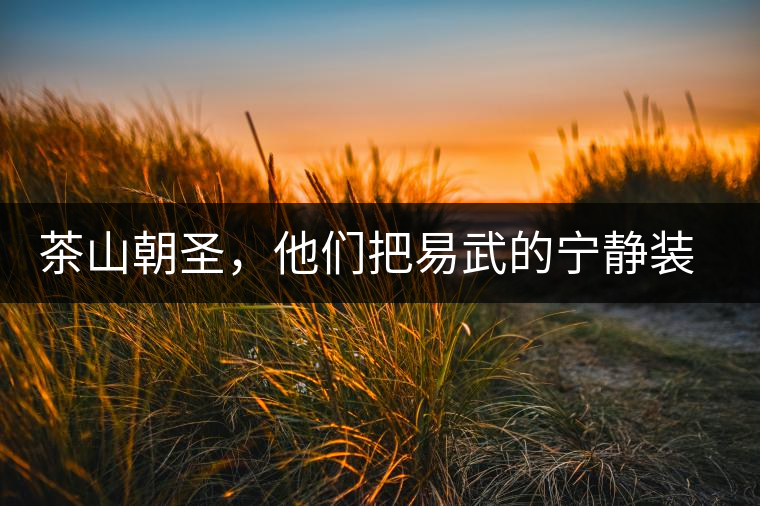 茶山朝圣，他們把易武的寧?kù)o裝進(jìn)心里，卻把成堆垃圾留在