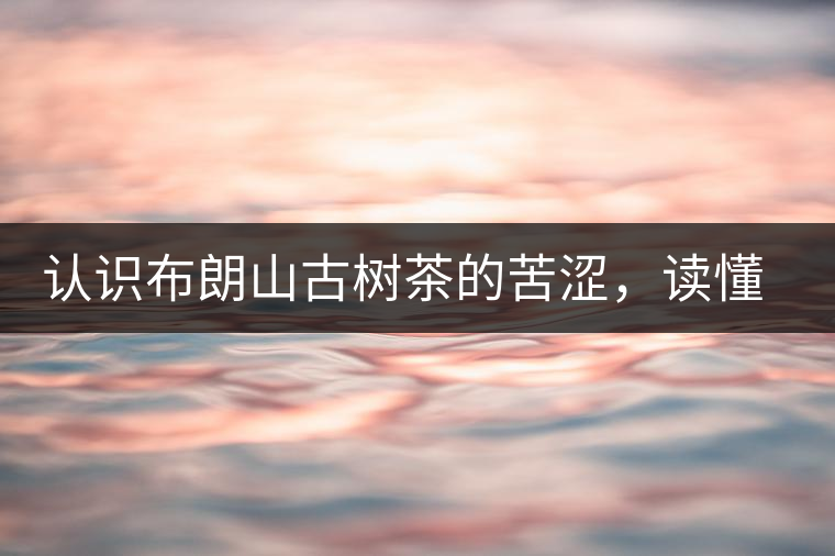 認(rèn)識布朗山古樹茶的苦澀，讀懂勐海普洱茶
