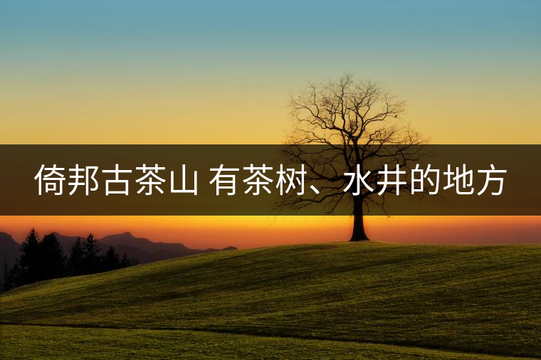 倚邦古茶山 有茶樹、水井的地方