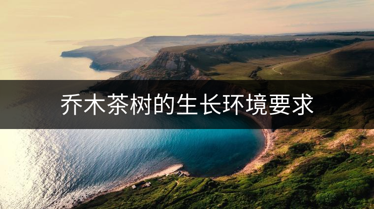 喬木茶樹的生長環(huán)境要求 喬木茶樹的生長環(huán)境要求