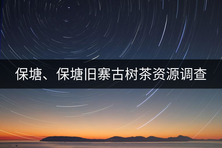 保塘、保塘舊寨古樹茶資源調(diào)查
