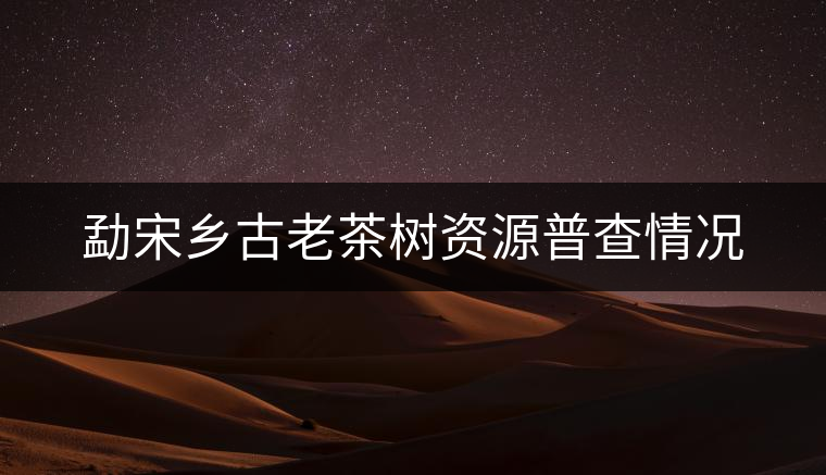 勐宋鄉(xiāng)古老茶樹資源普查情況