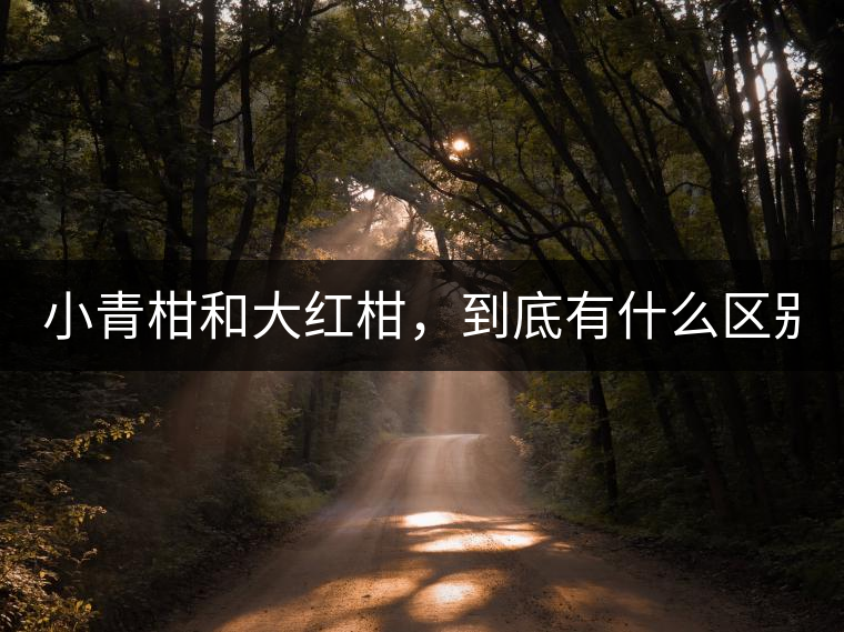 小青柑和大紅柑，到底有什么區(qū)別？