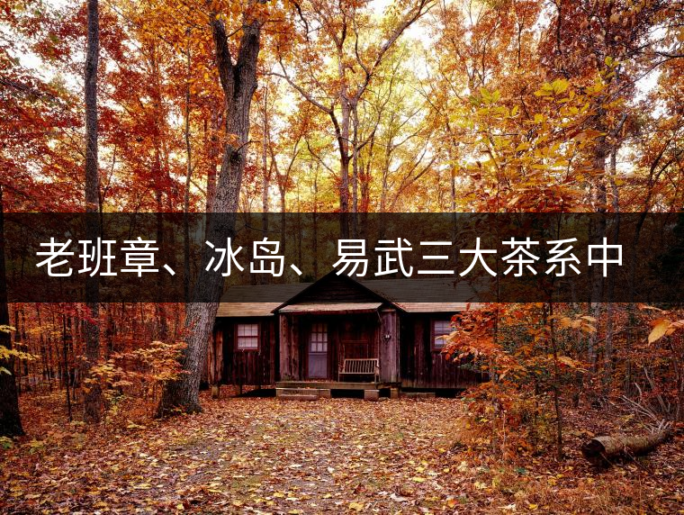 老班章、冰島、易武三大茶系中，“潛力股”為何是易武？