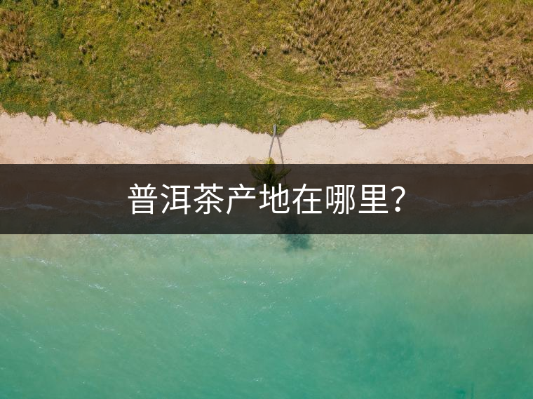 普洱茶產地在哪里？