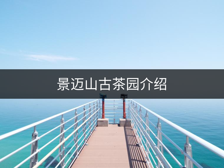 景邁山古茶園介紹