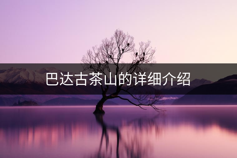 巴達(dá)古茶山的詳細(xì)介紹