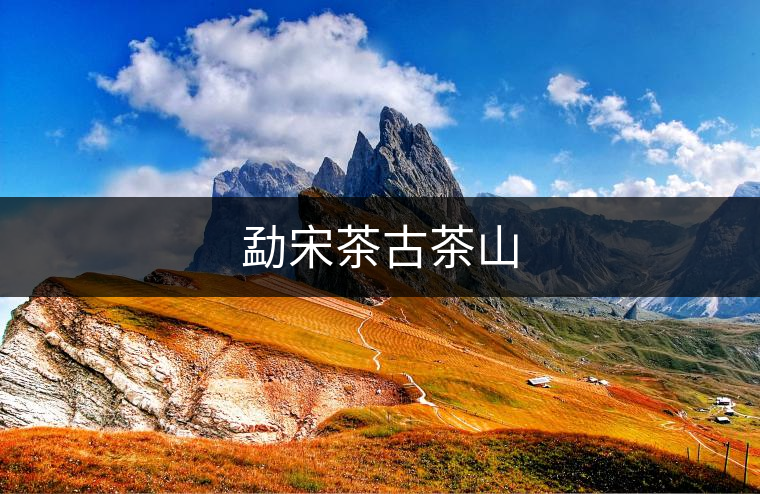 勐宋茶古茶山