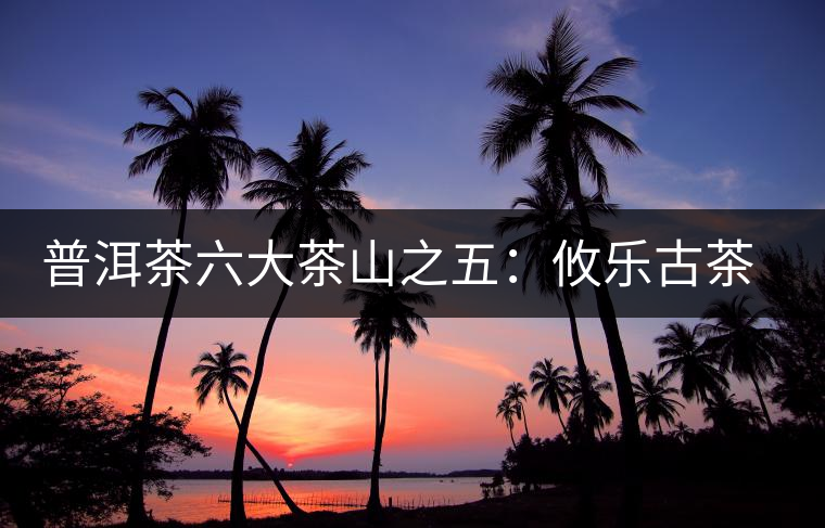 普洱茶六大茶山之五：攸樂(lè)古茶山