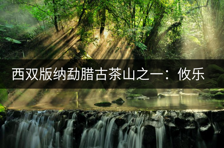 西雙版納勐臘古茶山之一:攸樂(lè)茶山 西雙版納勐臘古茶山之一:攸樂(lè)茶山