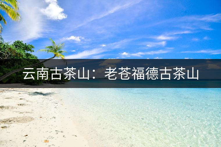 云南古茶山：老蒼福德古茶山