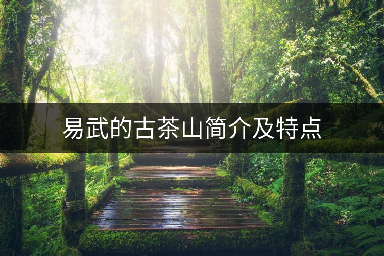 易武的古茶山簡介及特點