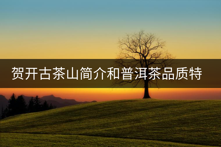 賀開古茶山簡介和普洱茶品質特點