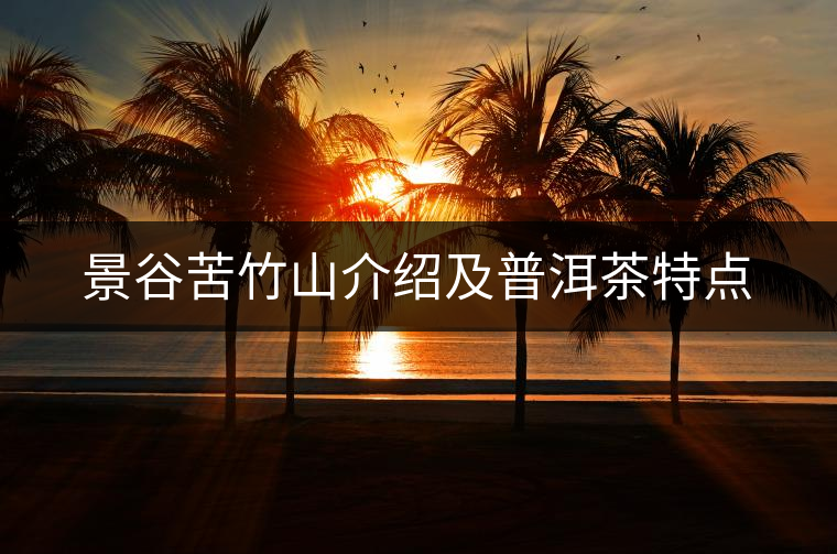景谷苦竹山介紹及普洱茶特點(diǎn)