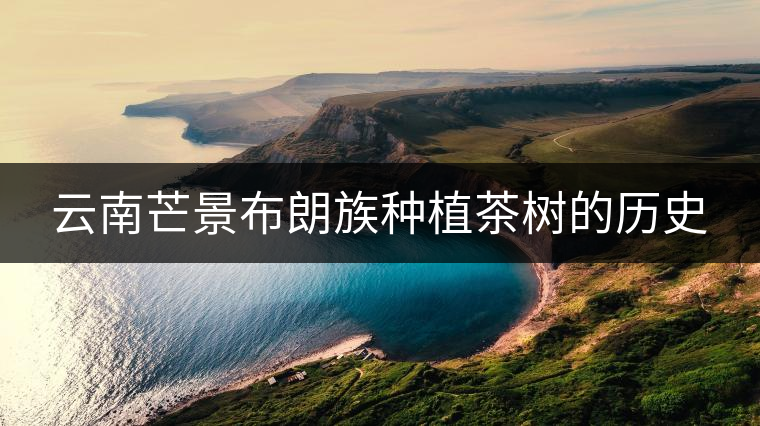 云南芒景布朗族種植茶樹的歷史