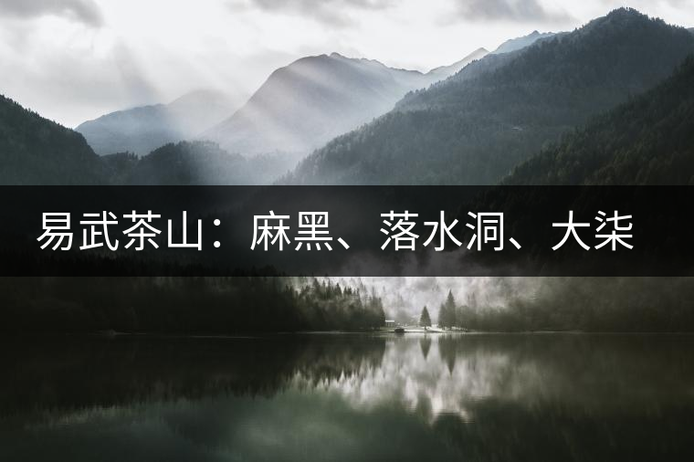 易武茶山：麻黑、落水洞、大柒樹