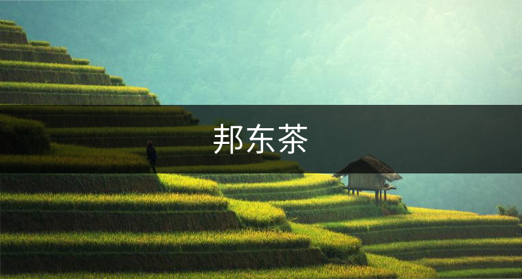 邦東茶 邦東茶
