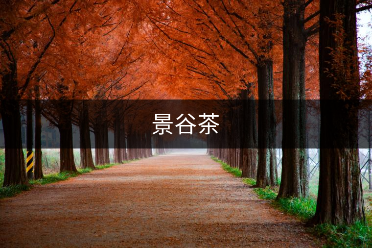 景谷茶