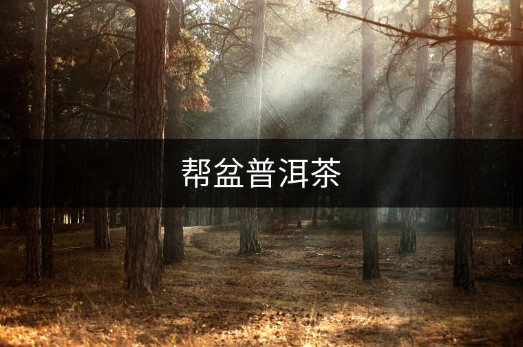 幫盆普洱茶