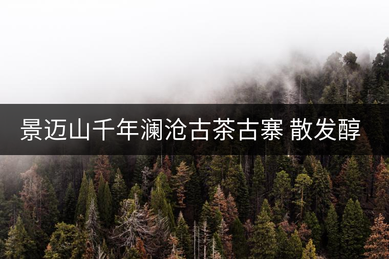 景邁山千年瀾滄古茶古寨 散發(fā)醇厚余香