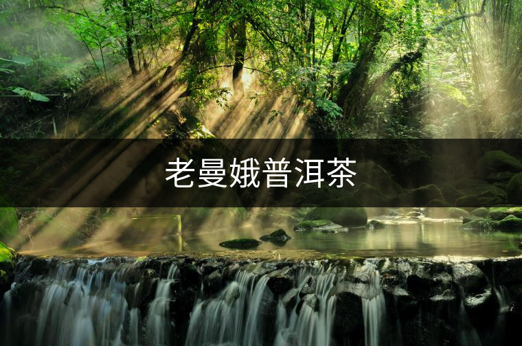 老曼娥普洱茶