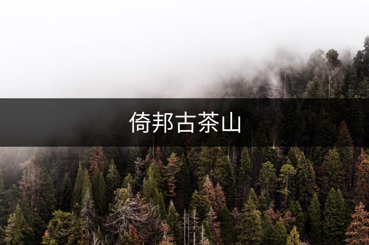 倚邦古茶山