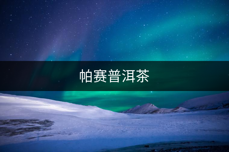 帕賽普洱茶