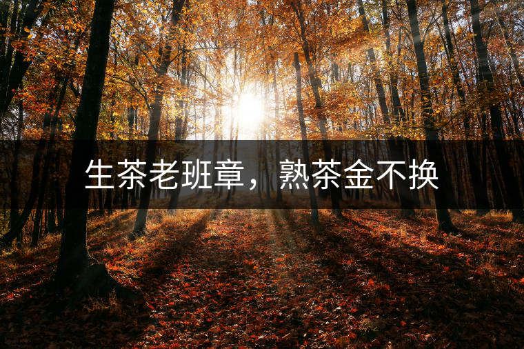 生茶老班章，熟茶金不換