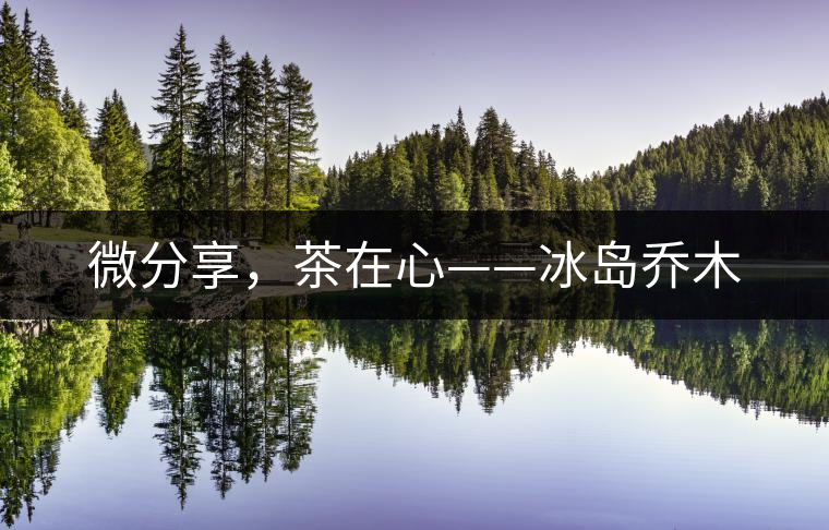 微分享，茶在心——冰島喬木