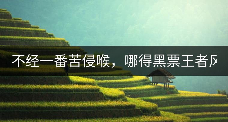 不經(jīng)一番苦侵喉，哪得黑票王者風(fēng)！