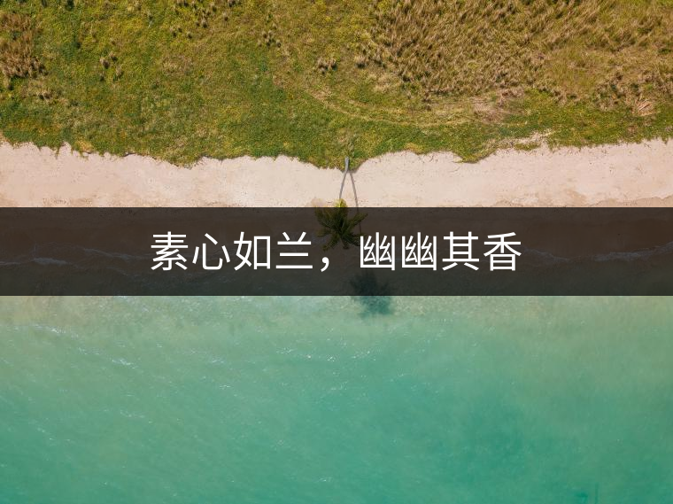 素心如蘭，幽幽其香