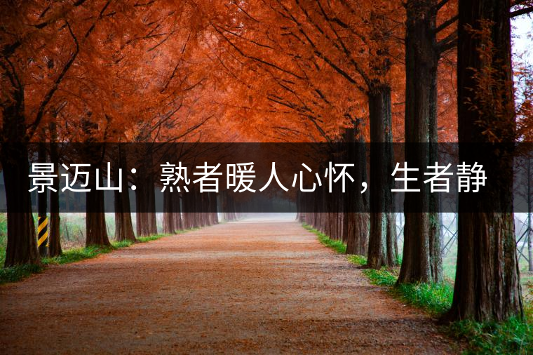 景邁山：熟者暖人心懷，生者靜品歲月